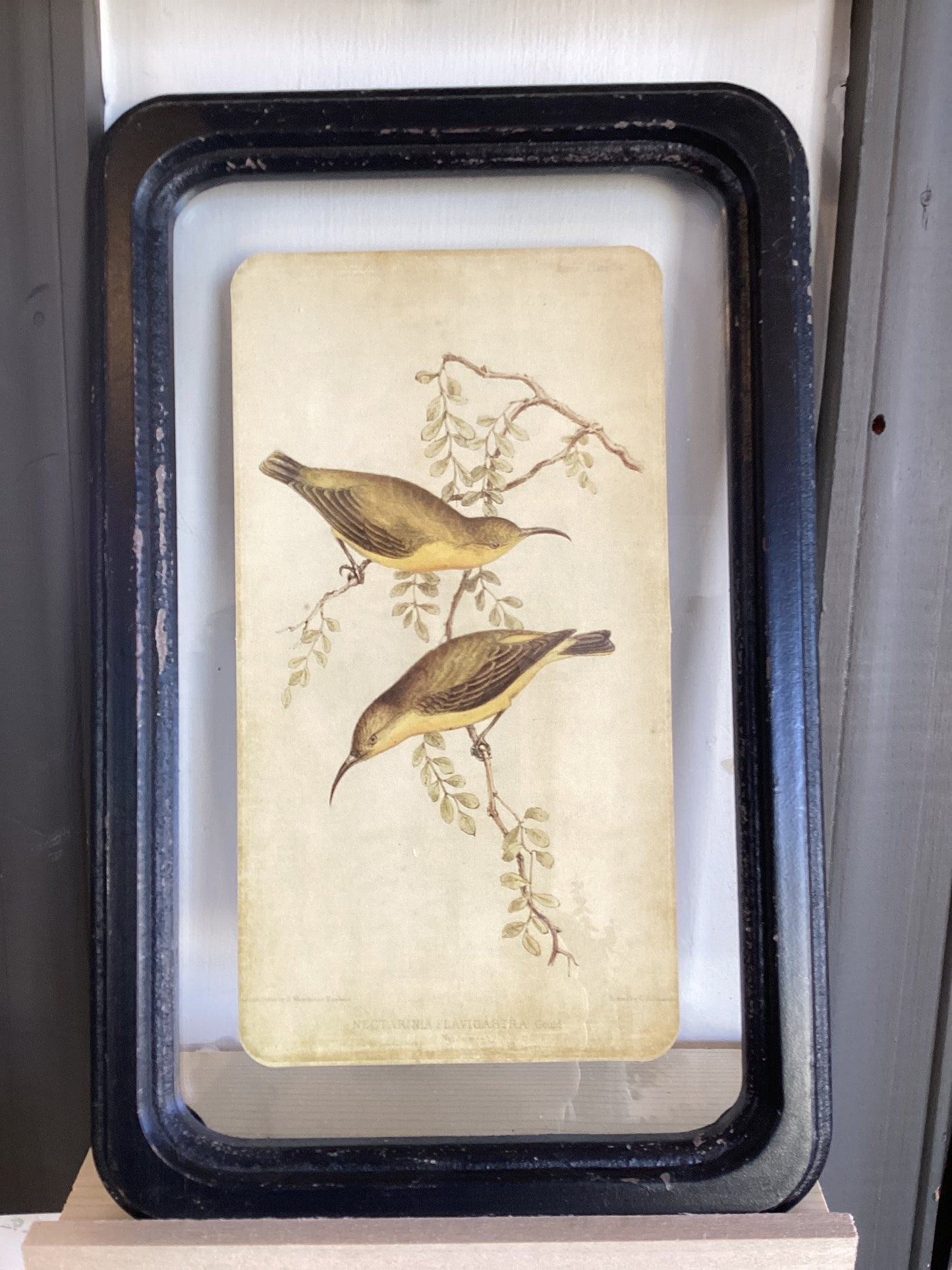 Floating Bird Wood Wall Decor
