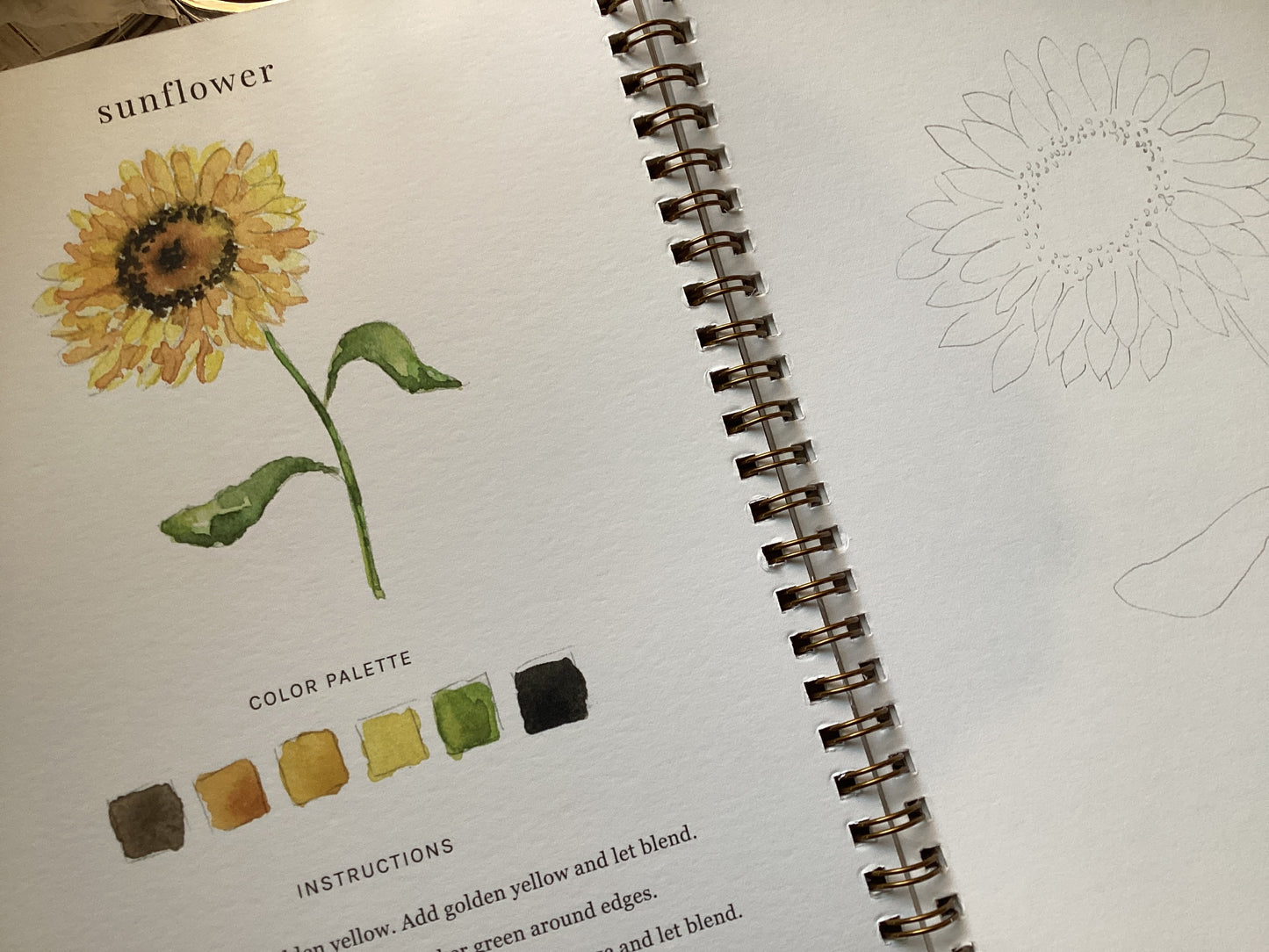 Flowers Watercolor Workbook