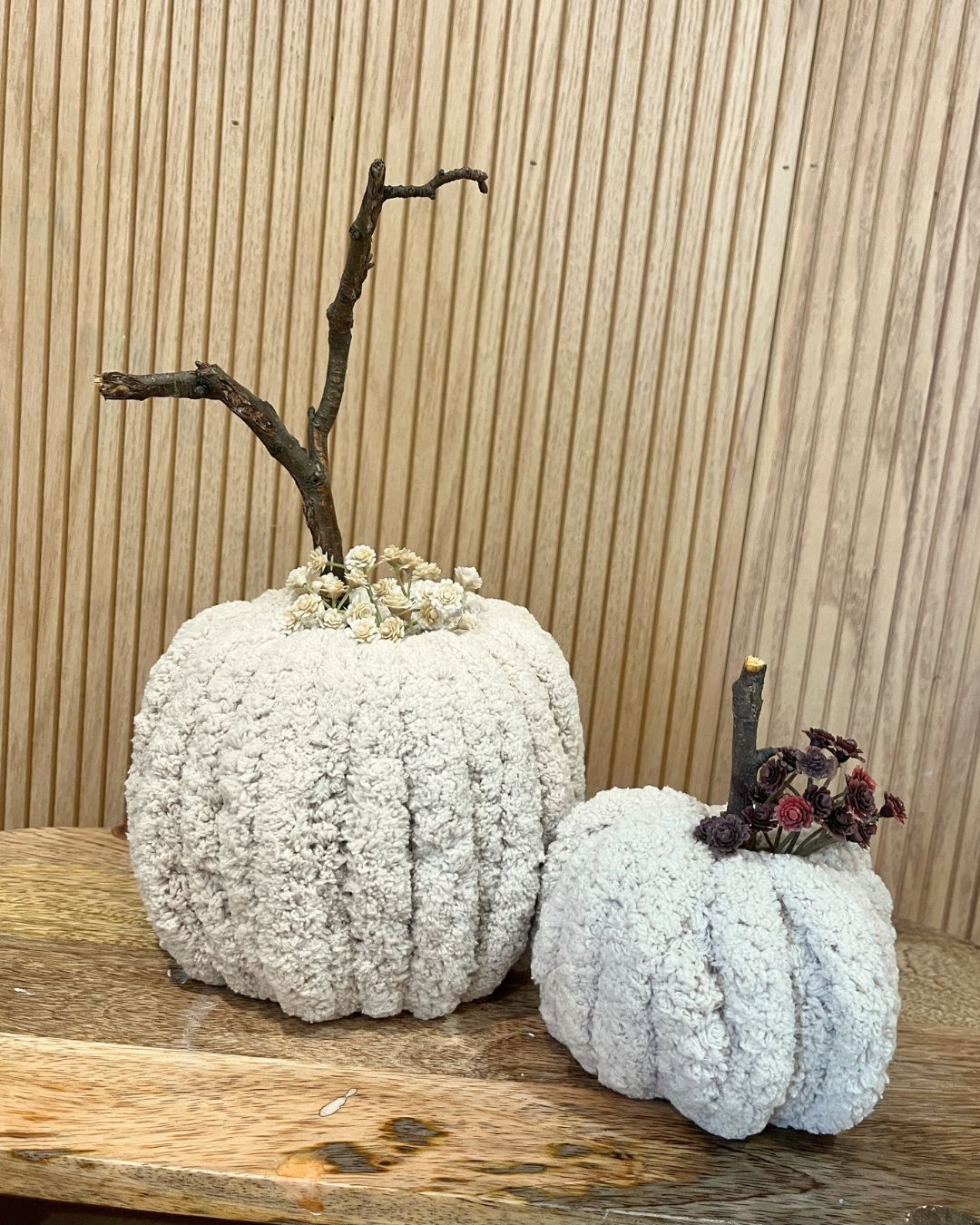 Chenille Pumpkin Set Saturday, September 13th 10:30 am-12:30 pm