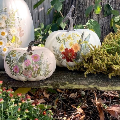 Decoupage Floral Pumpkin Workshop Saturday, September 28th 10:30am-12:30pm