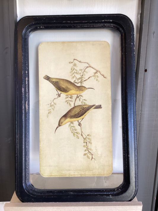 Floating Bird Wood Wall Decor