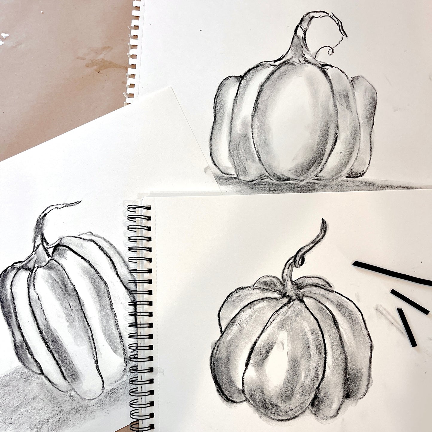 Wacky Pumpkins: A Study in Beginner's Charocal Drawing Art Workshop Saturday October 12th 10:30am-12:30pm