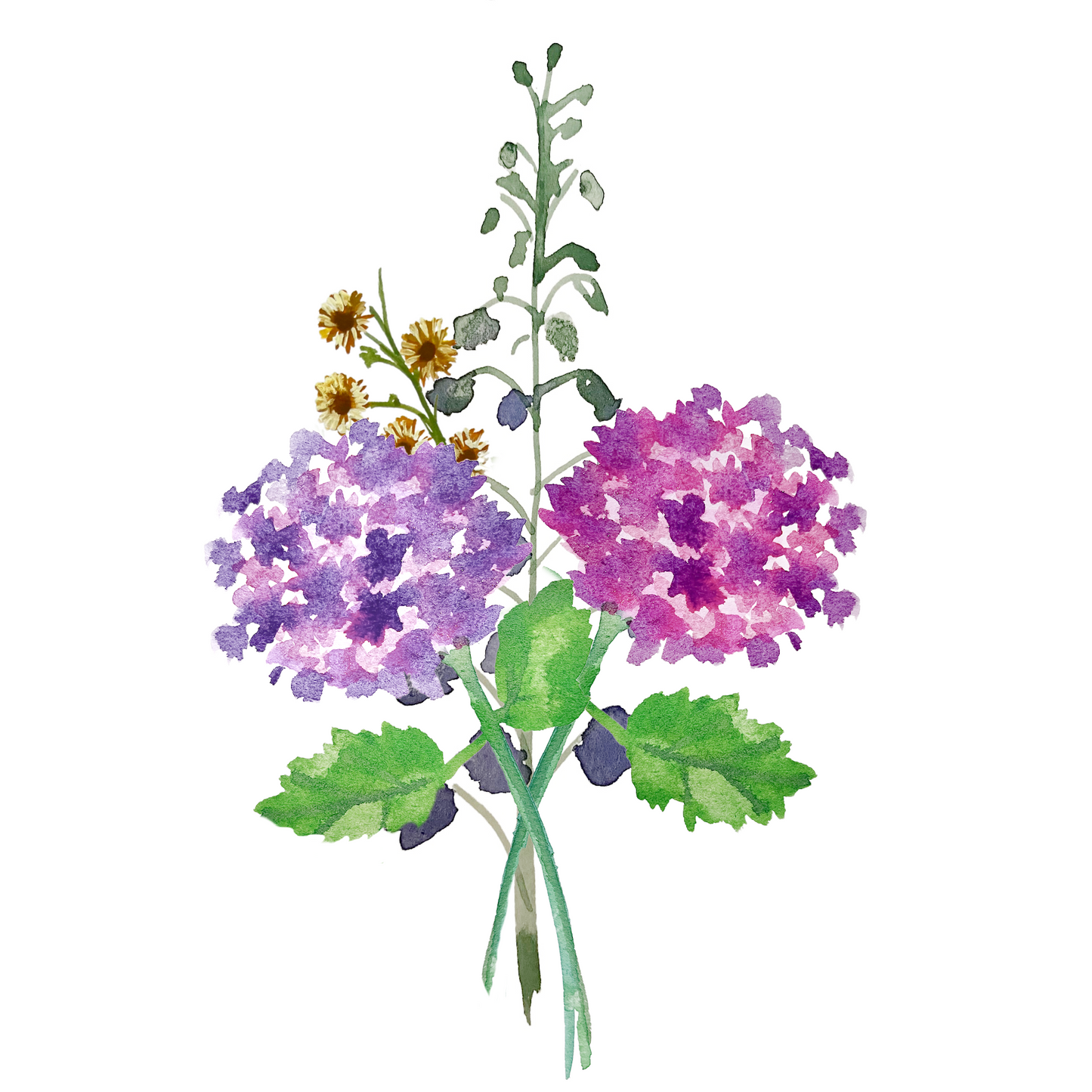 Illustration of a bouquet of purple and green flowers on a white background